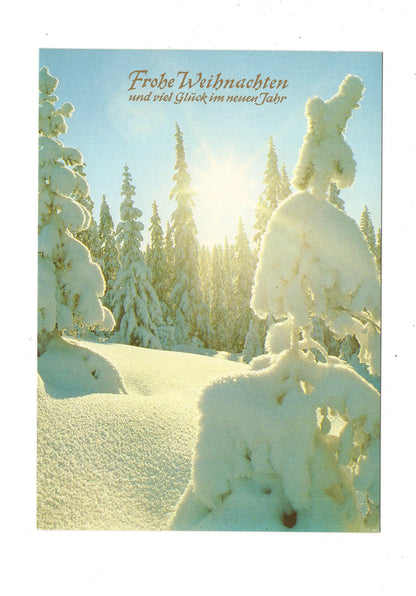 Ansichtskarte Feiertage / Frohe Weihnachten / K1-64