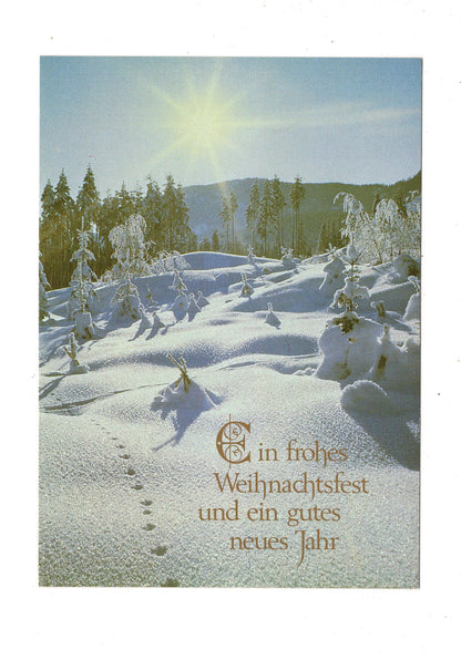 Ansichtskarte Feiertage / Frohe Weihnachten / K1-64