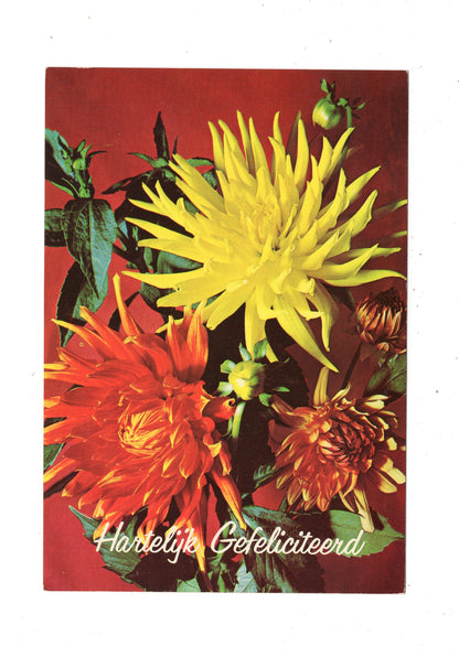 Ansichtskarte Glückwünsche / Glückwunsch zum Geburtstag / L1-60