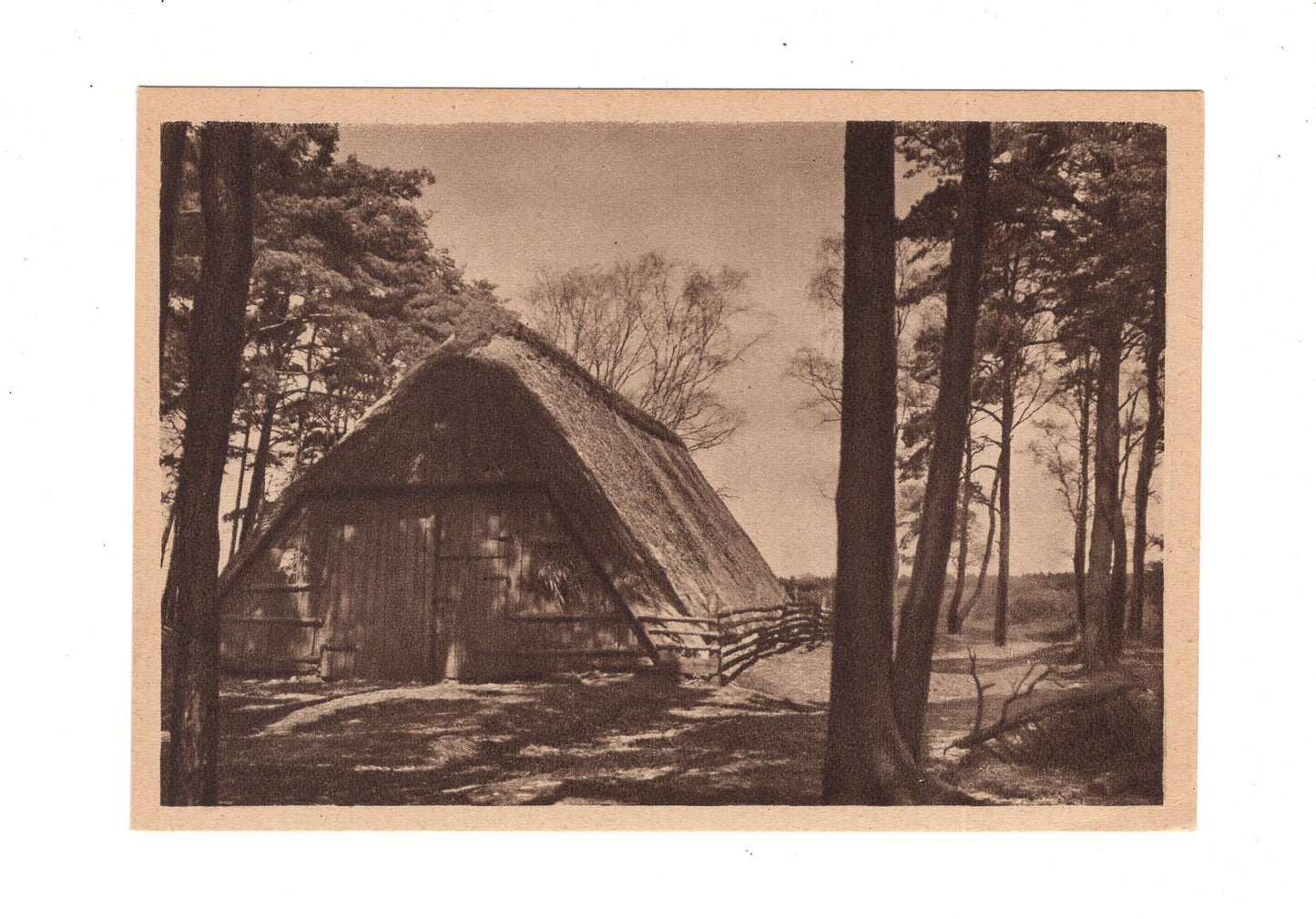 Ansichtskarte Lüneburger Heide