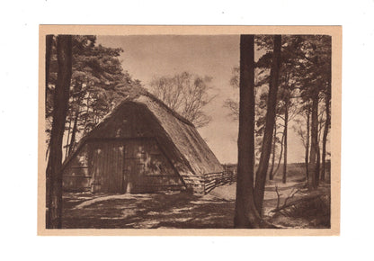 Ansichtskarte Lüneburger Heide
