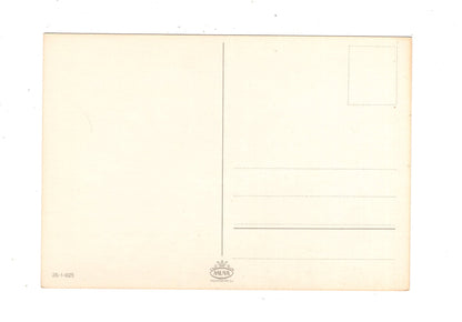 Ansichtskarte Glückwünsche / Glückwunsch zum Geburtstag / L1-60