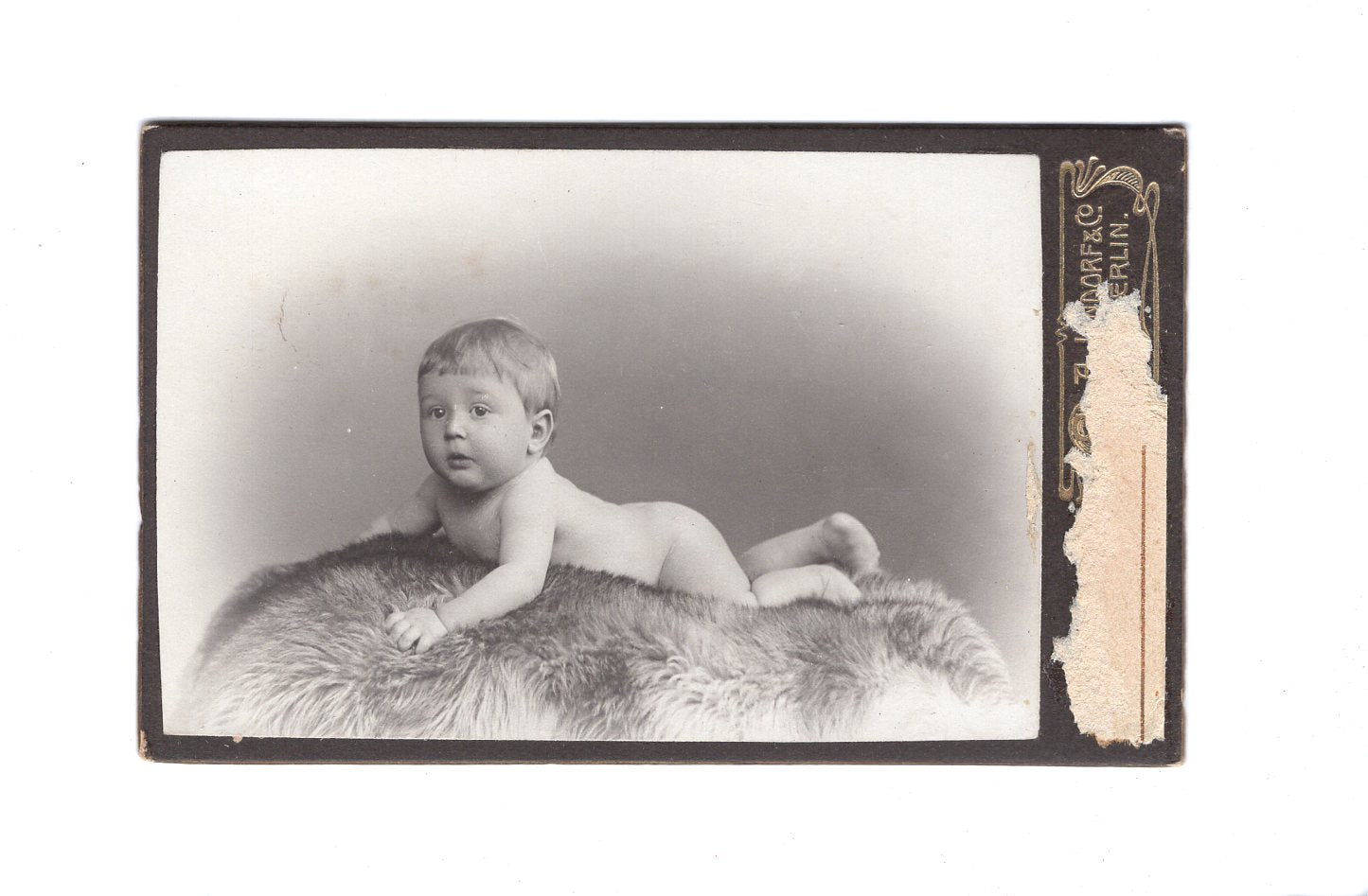 Fotografie Schönes Kinderbild / Baby - Berlin 1900er