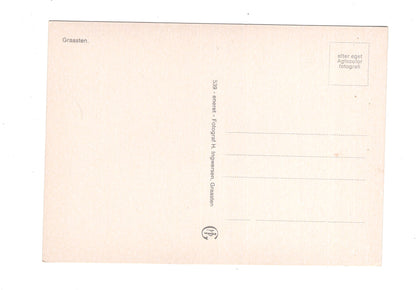 Ansichtskarte Graasten / Schloss Gravenstein / Dänemark