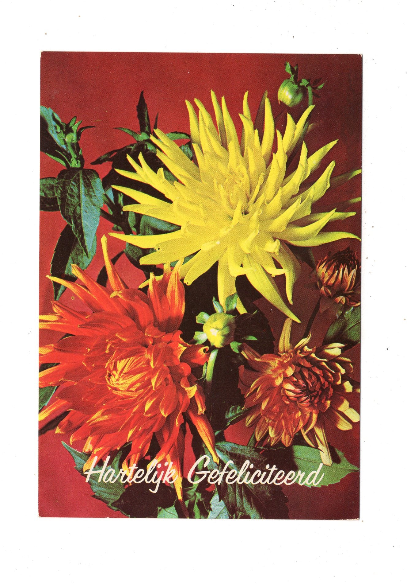 Ansichtskarte Glückwünsche / Glückwunsch zum Geburtstag / L1-60