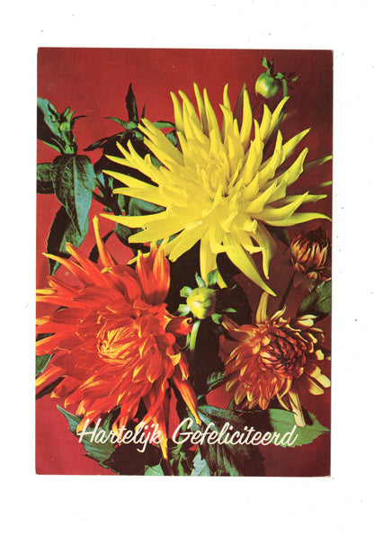 Ansichtskarte Glückwünsche / Glückwunsch zum Geburtstag / L1-60