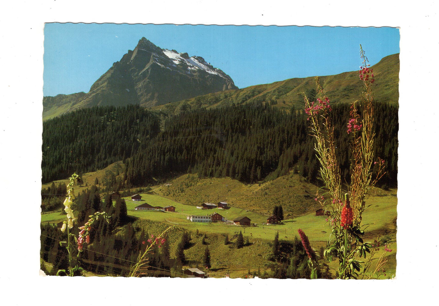Ansichtskarte Gargellen / Montafon / Österreich