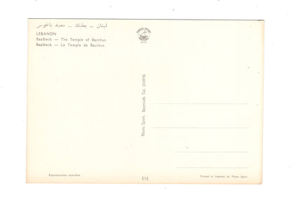 Ansichtskarte Baalbek / The Temple of Bacchus / Libanon