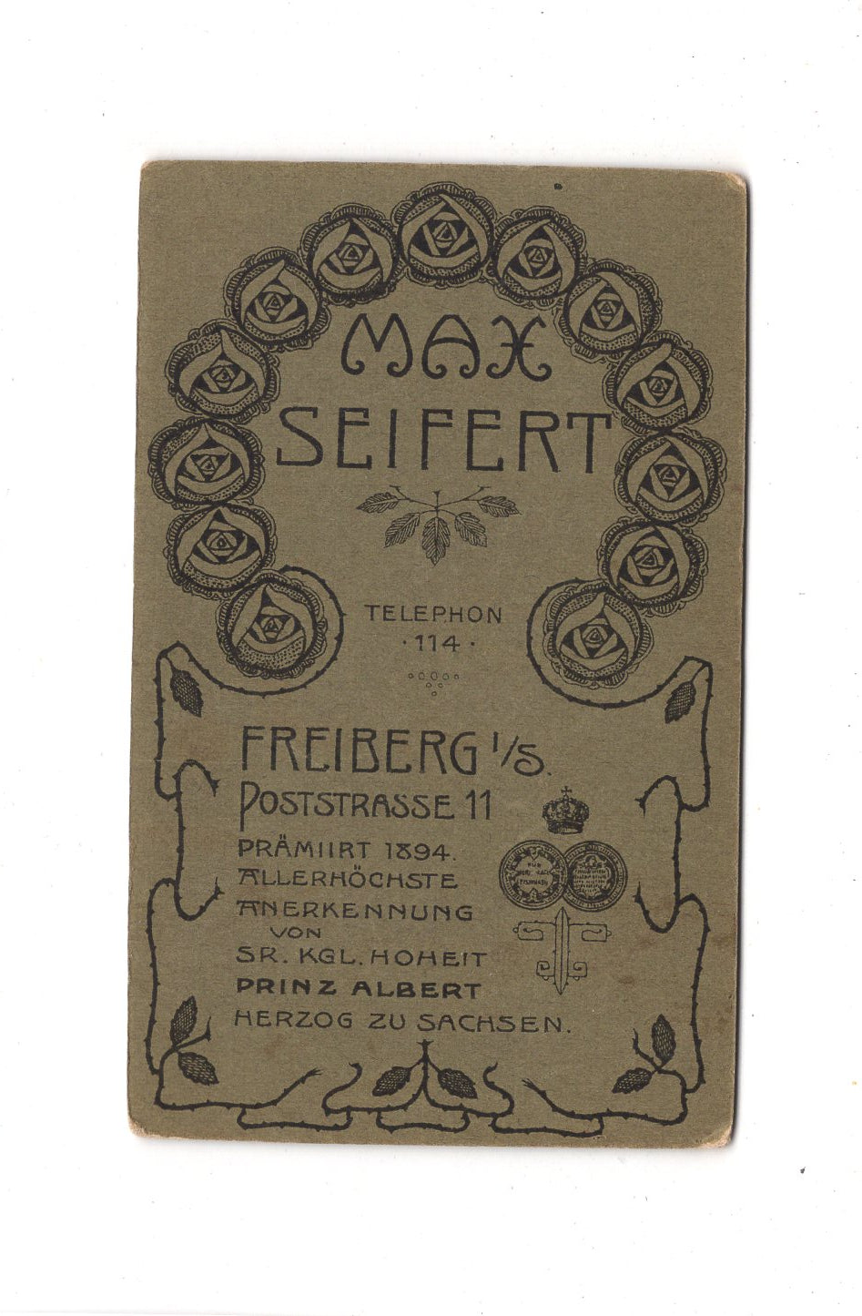 Fotografie Damenportrait - Freiberg 1900er / CDV C1-08