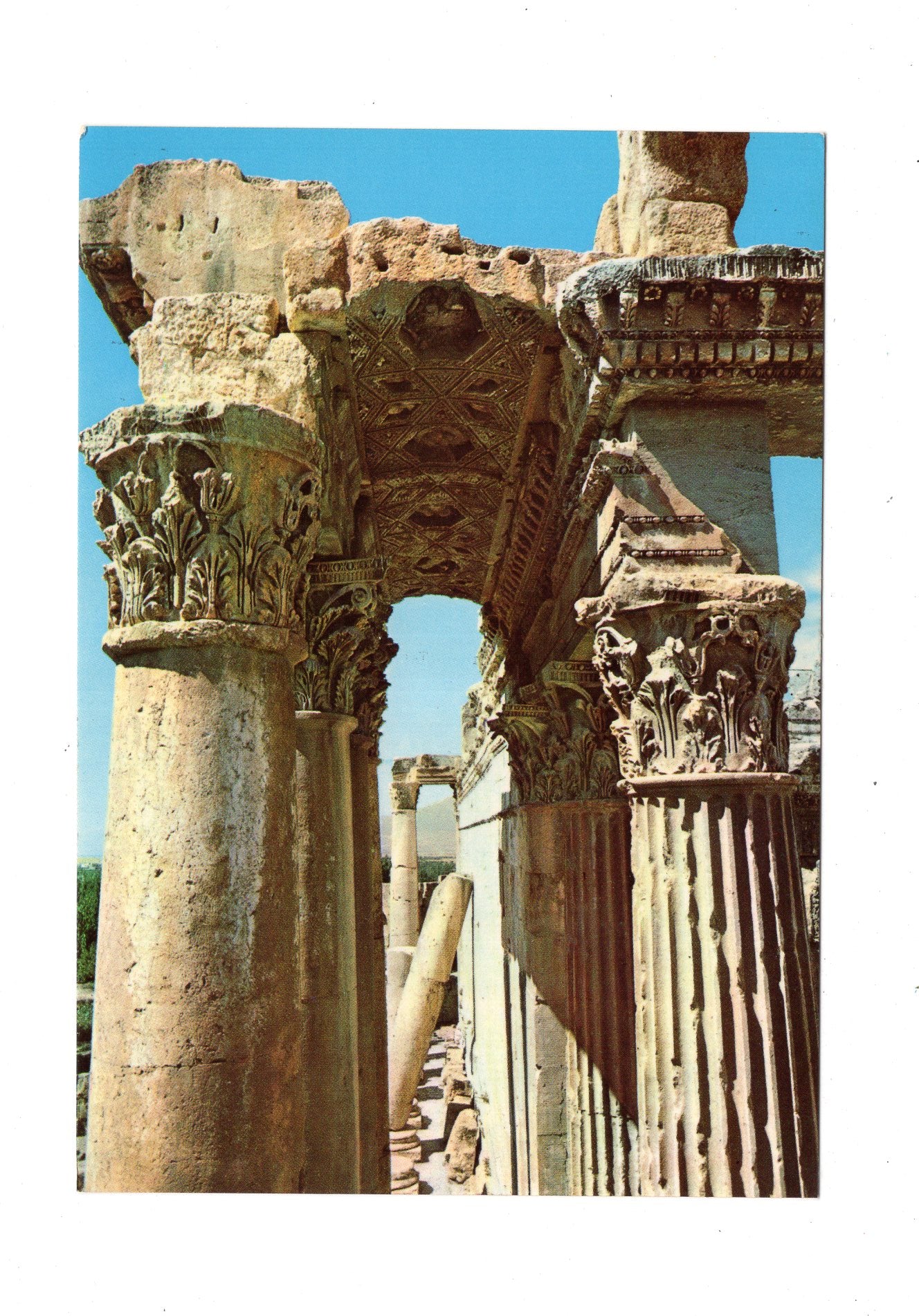 Ansichtskarte Baalbek / Columns of Bacchus Temple / Libanon