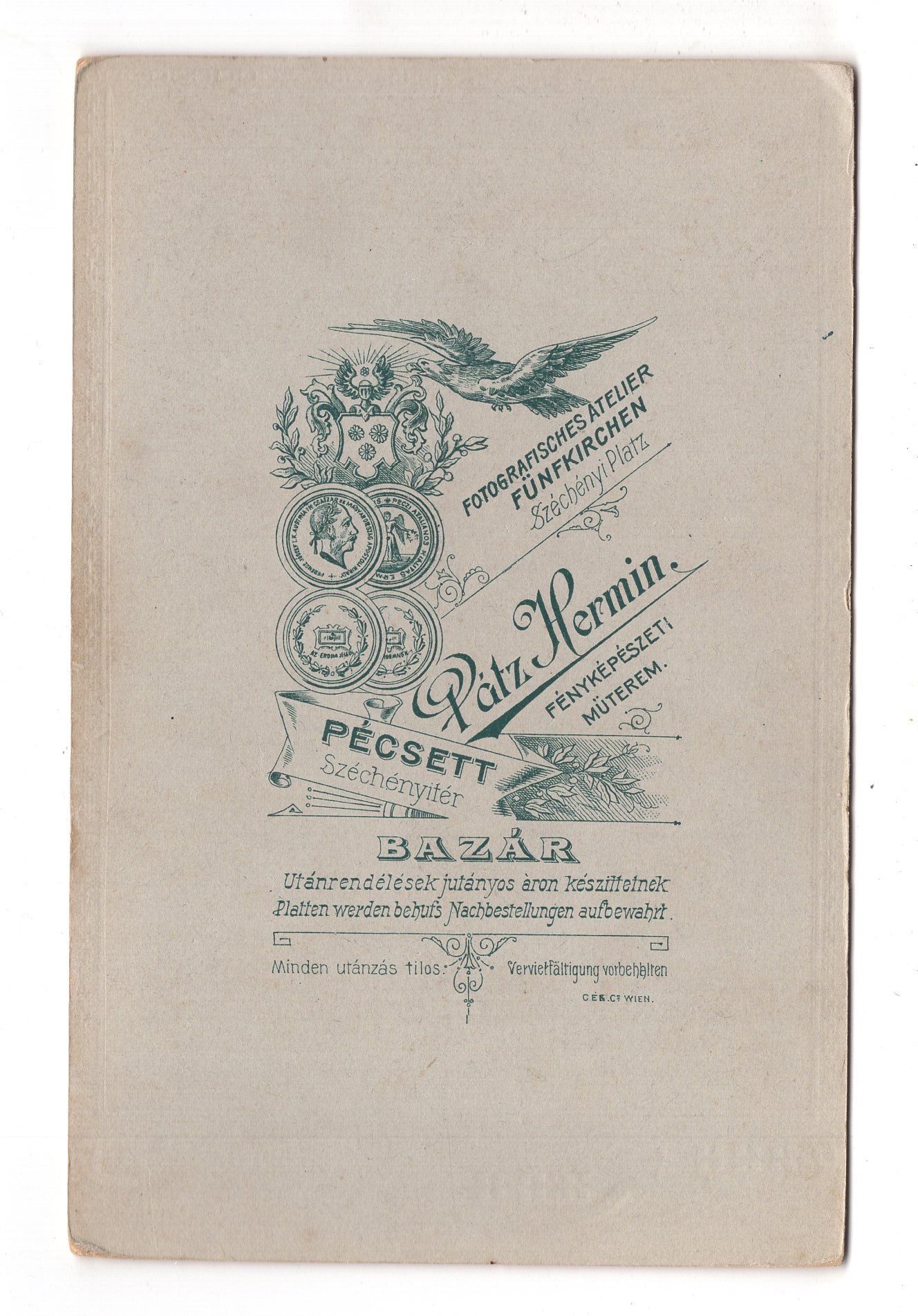 Fotografie Feine Dame - Pecs / Ungarn um 1910 / CAB W-30