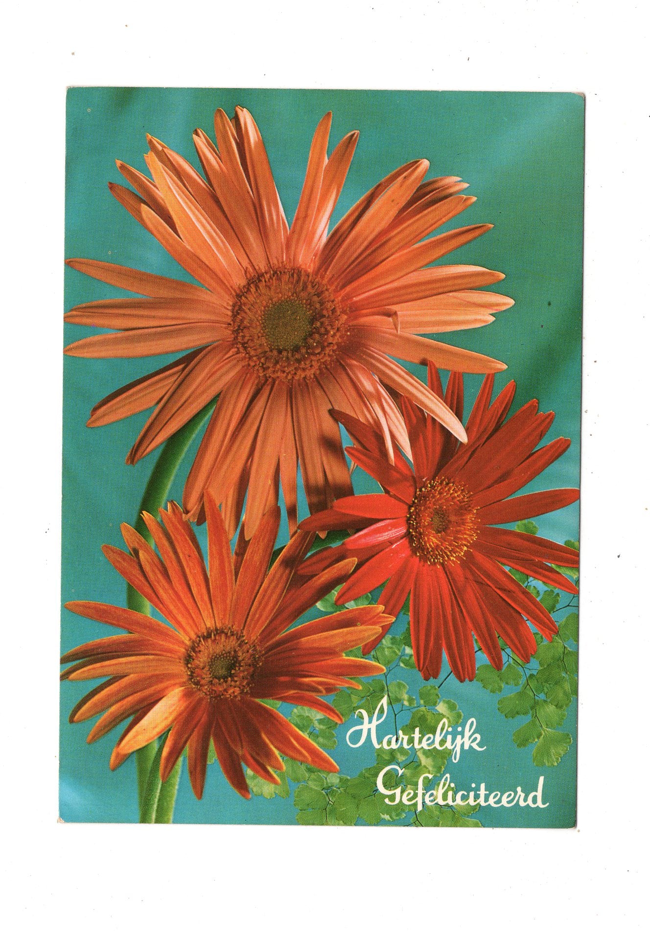 Ansichtskarte Glückwünsche / Glückwunsch zum Geburtstag / L1-60