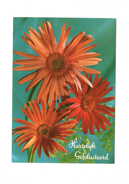 Ansichtskarte Glückwünsche / Glückwunsch zum Geburtstag / L1-60