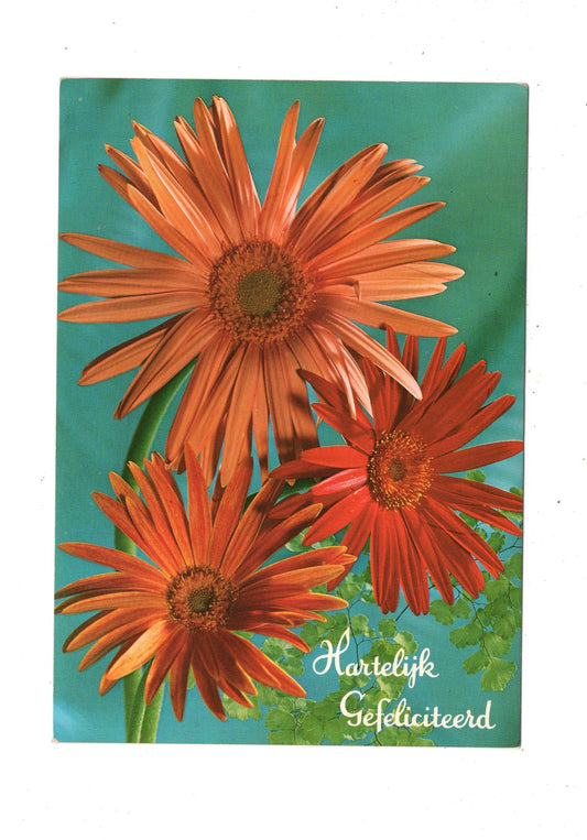 Ansichtskarte Glückwünsche / Glückwunsch zum Geburtstag / L1-60