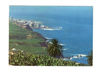Ansichtskarte Teneriffa / Puerto de la Cruz / Spanien