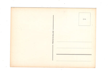 Ansichtskarte Glückwünsche / Glückwunsch zum Geburtstag / L1-60