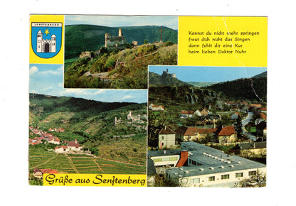 Ansichtskarte Senftenberg / Österreich