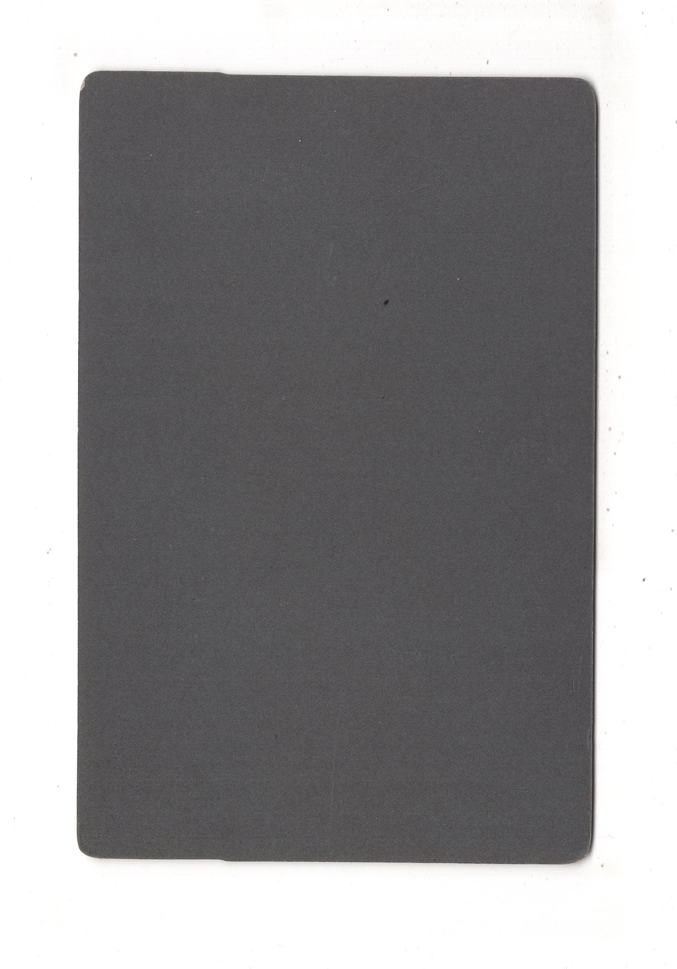 Fotografie Schönes Familienbild mit Hund - unbekannter Ort 1910er