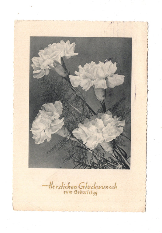 Ansichtskarte Glückwünsche / Glückwunsch zum Geburtstag / L1-60