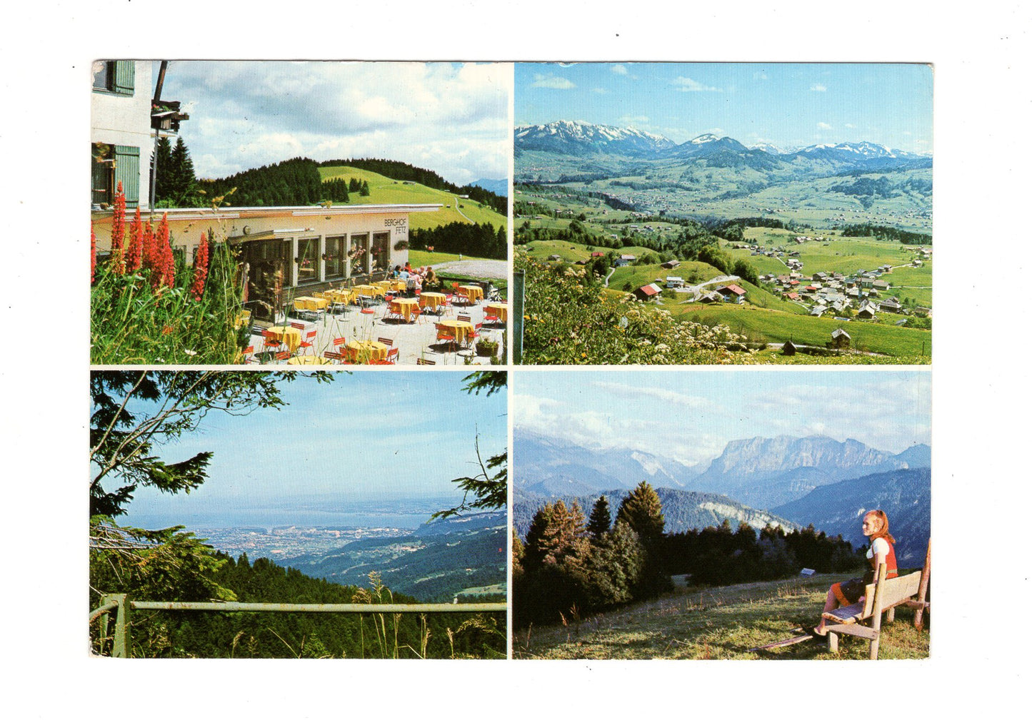 Ansichtskarte Berghof Fetz / Bödele ob Dornbirn / Vorarlberg / Österreich