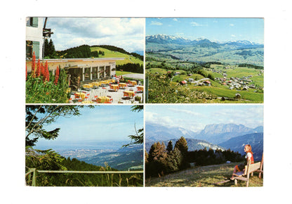 Ansichtskarte Berghof Fetz / Bödele ob Dornbirn / Vorarlberg / Österreich