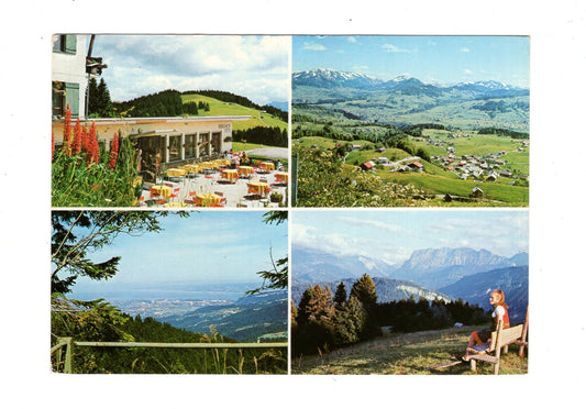 Ansichtskarte Berghof Fetz / Bödele ob Dornbirn / Vorarlberg / Österreich