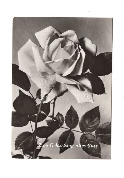 Ansichtskarte Glückwünsche / Glückwunsch zum Geburtstag / L1-60