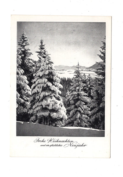 Ansichtskarte Feiertage / Frohe Weihnachten / K1-64