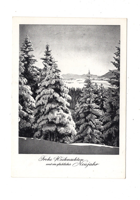 Ansichtskarte Feiertage / Frohe Weihnachten / K1-64