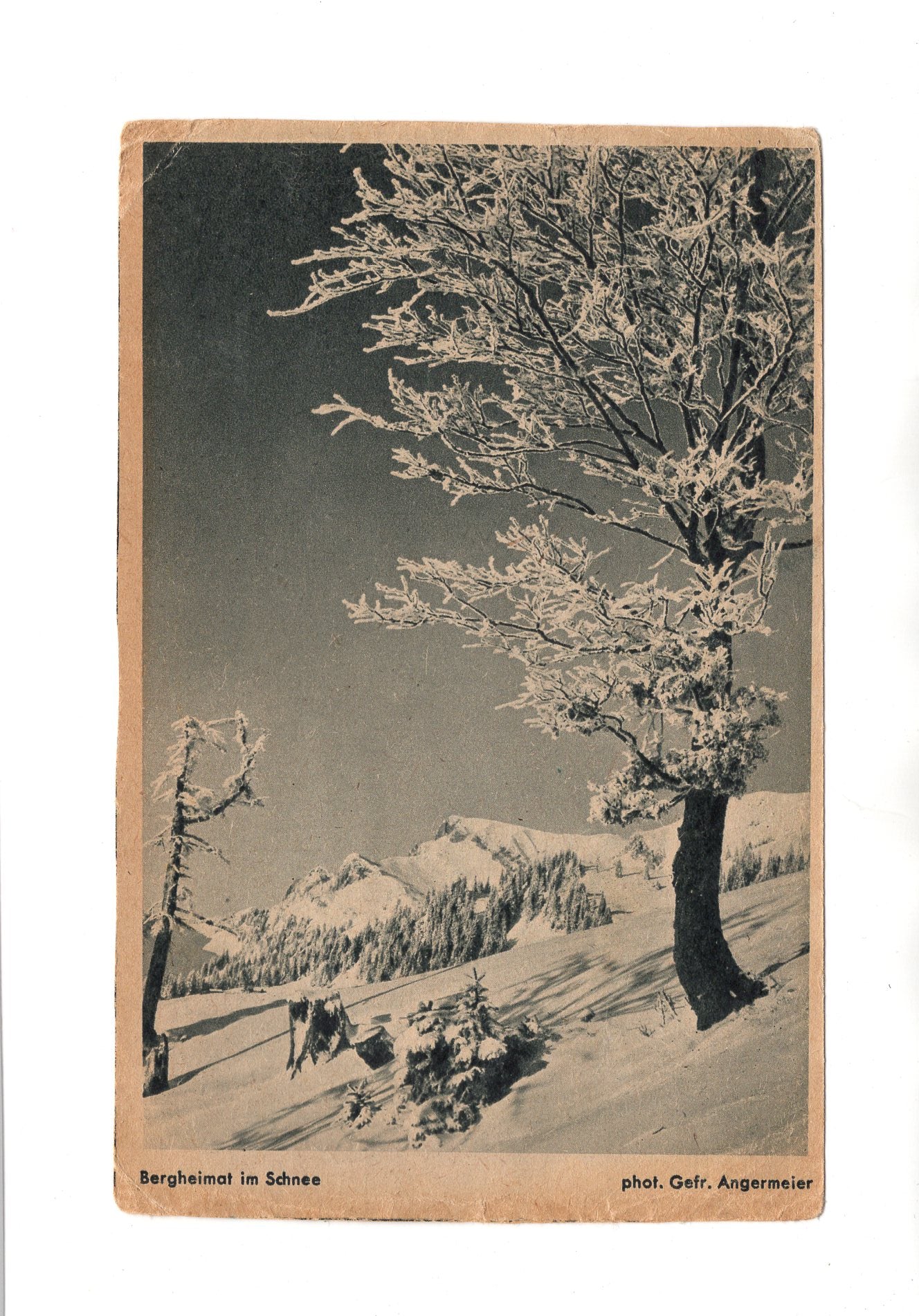 Ansichtskarte Bergheimat im Schnee