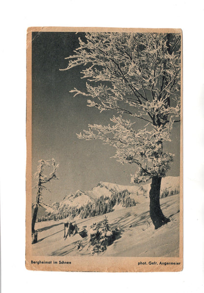 Ansichtskarte Bergheimat im Schnee