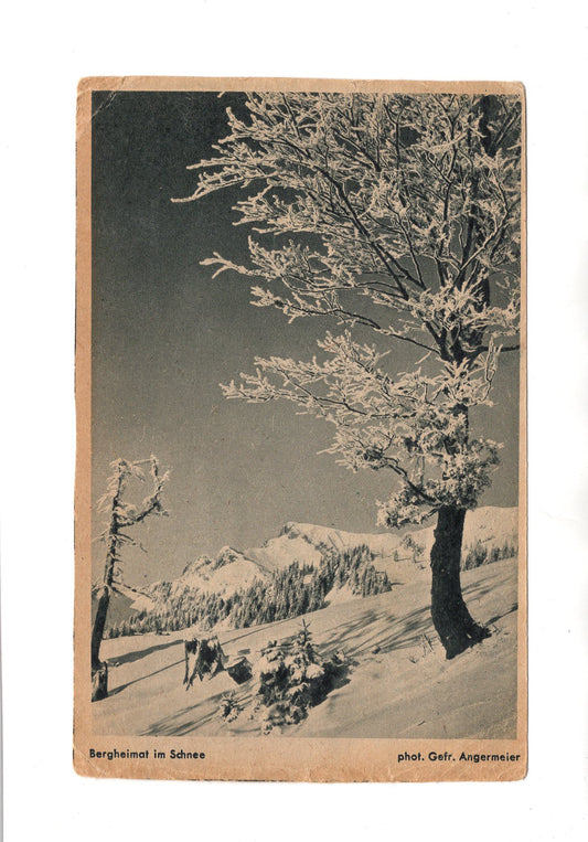 Ansichtskarte Bergheimat im Schnee