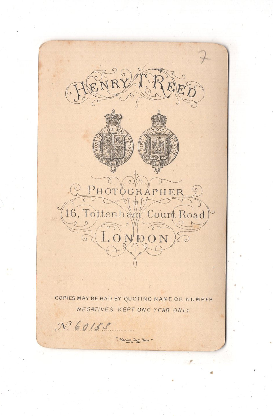 Fotografie Damenportrait - London um 1880