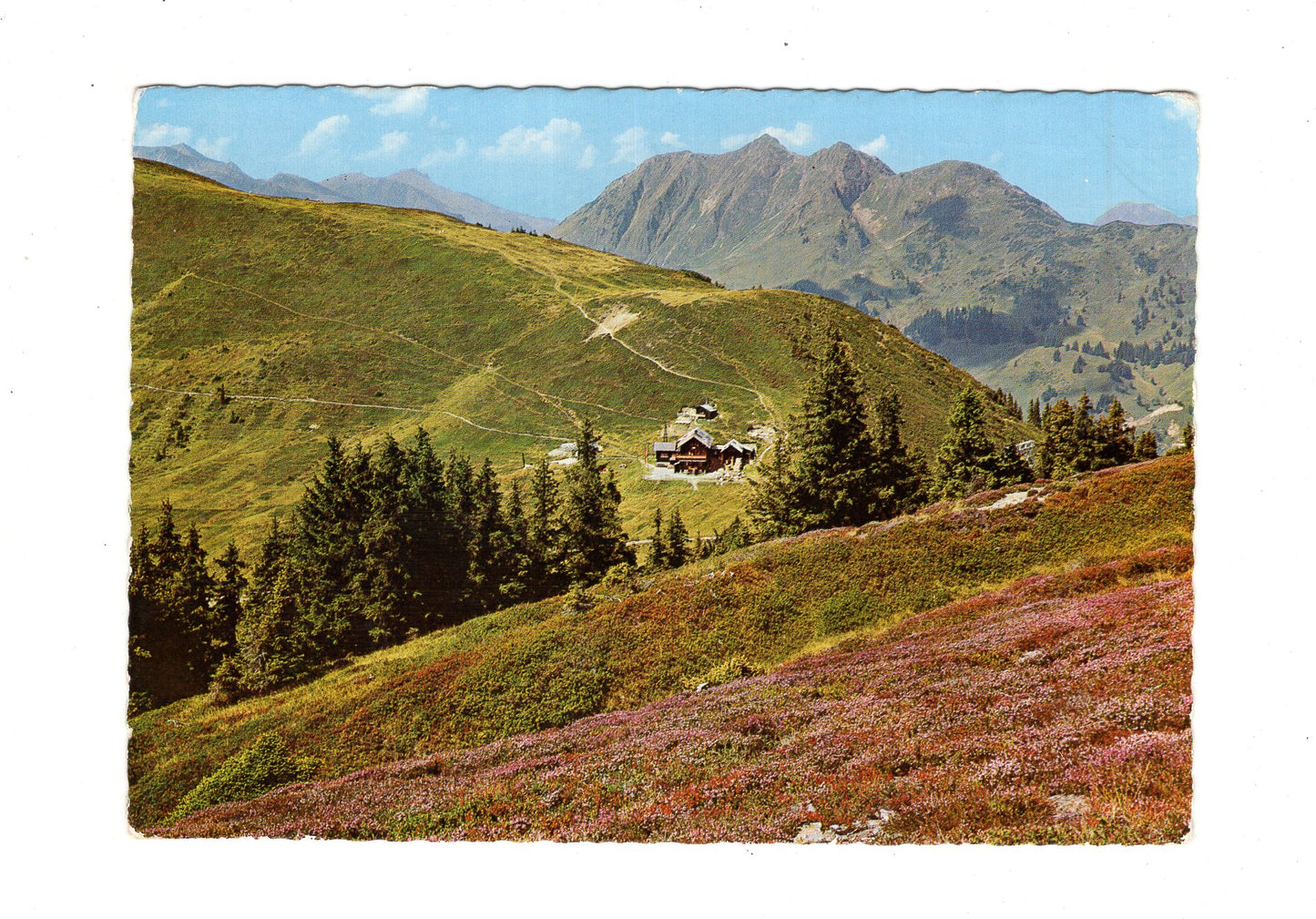Ansichtskarte Saalbach / Schönleiten-Hütte / Österreich