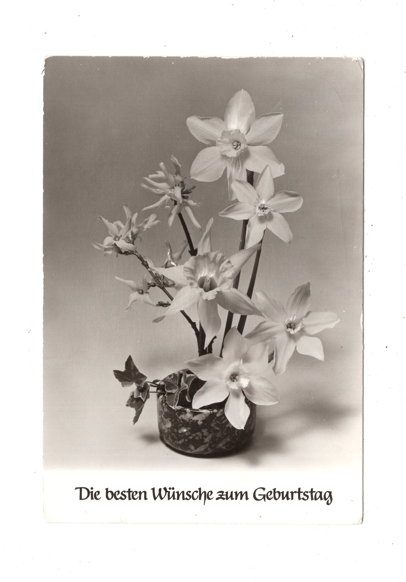 Ansichtskarte Glückwünsche / Glückwunsch zum Geburtstag / L1-60