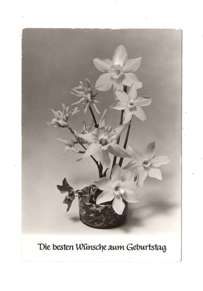 Ansichtskarte Glückwünsche / Glückwunsch zum Geburtstag / L1-60