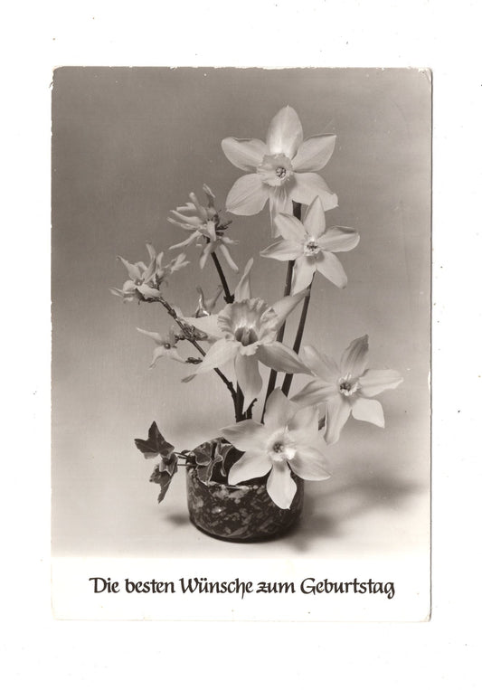 Ansichtskarte Glückwünsche / Glückwunsch zum Geburtstag / L1-60