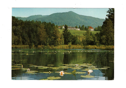 Ansichtskarte Bad Heilbrunn / Oberbayern / Schönauer Weiher