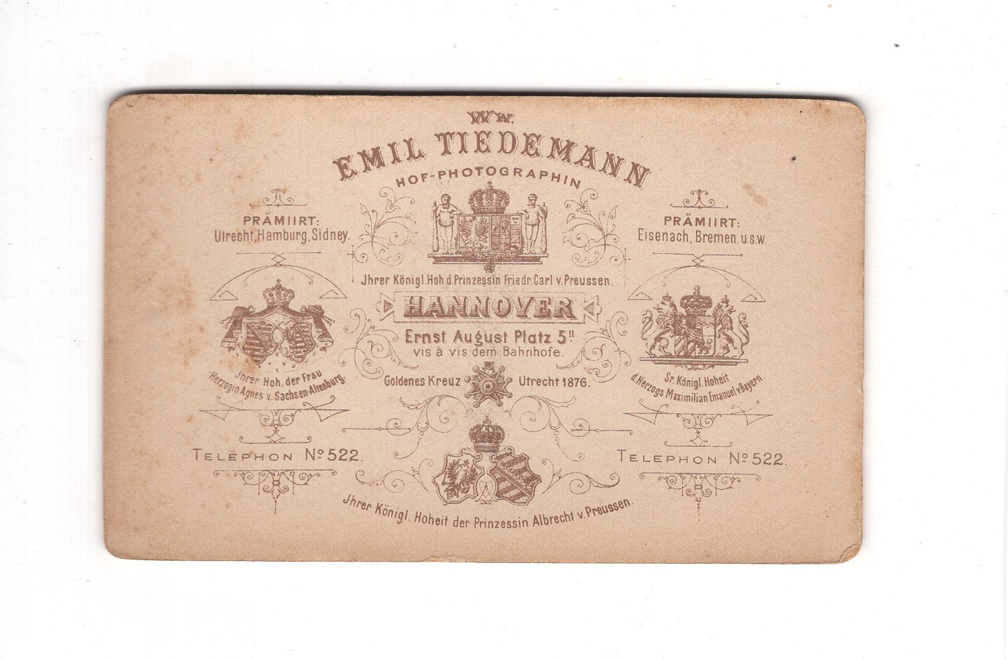 Fotografie Damenportrait - Hannover 1890er / CDV C1-08