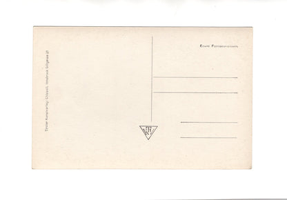 Ansichtskarte Zell am See gegen Hohe Tauern / Österreich