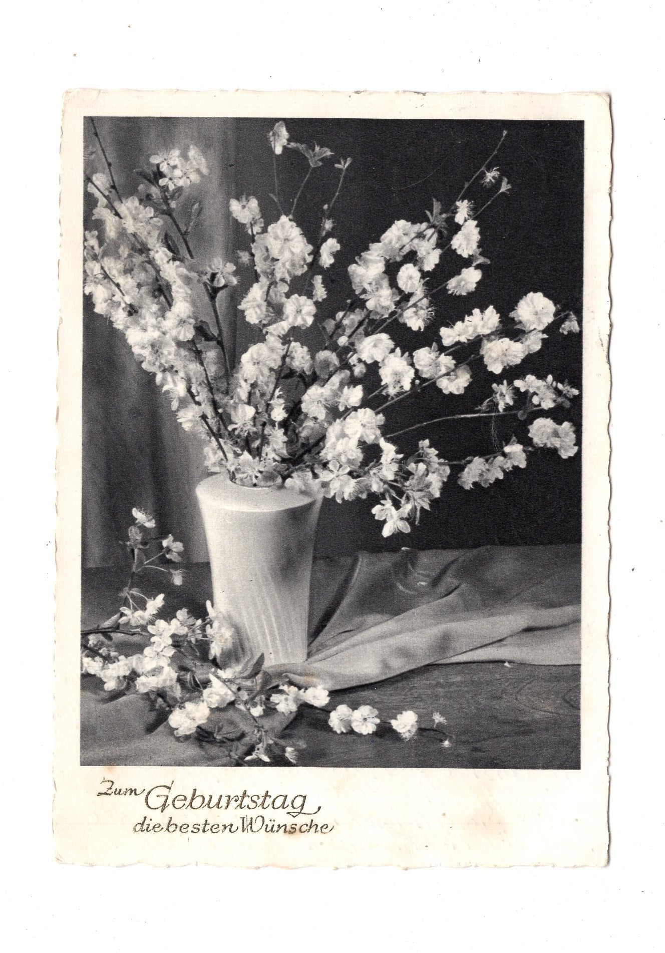 Ansichtskarte Glückwünsche / Glückwunsch zum Geburtstag / L1-61