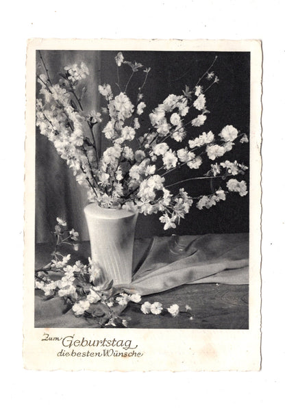 Ansichtskarte Glückwünsche / Glückwunsch zum Geburtstag / L1-61