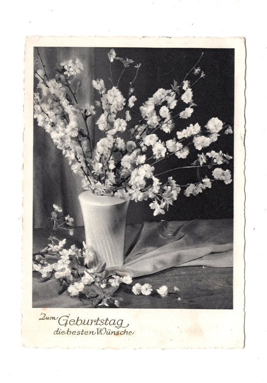 Ansichtskarte Glückwünsche / Glückwunsch zum Geburtstag / L1-61