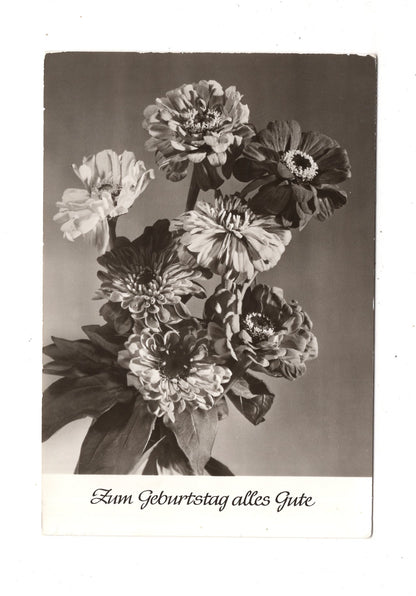 Ansichtskarte Glückwünsche / Glückwunsch zum Geburtstag / L1-61