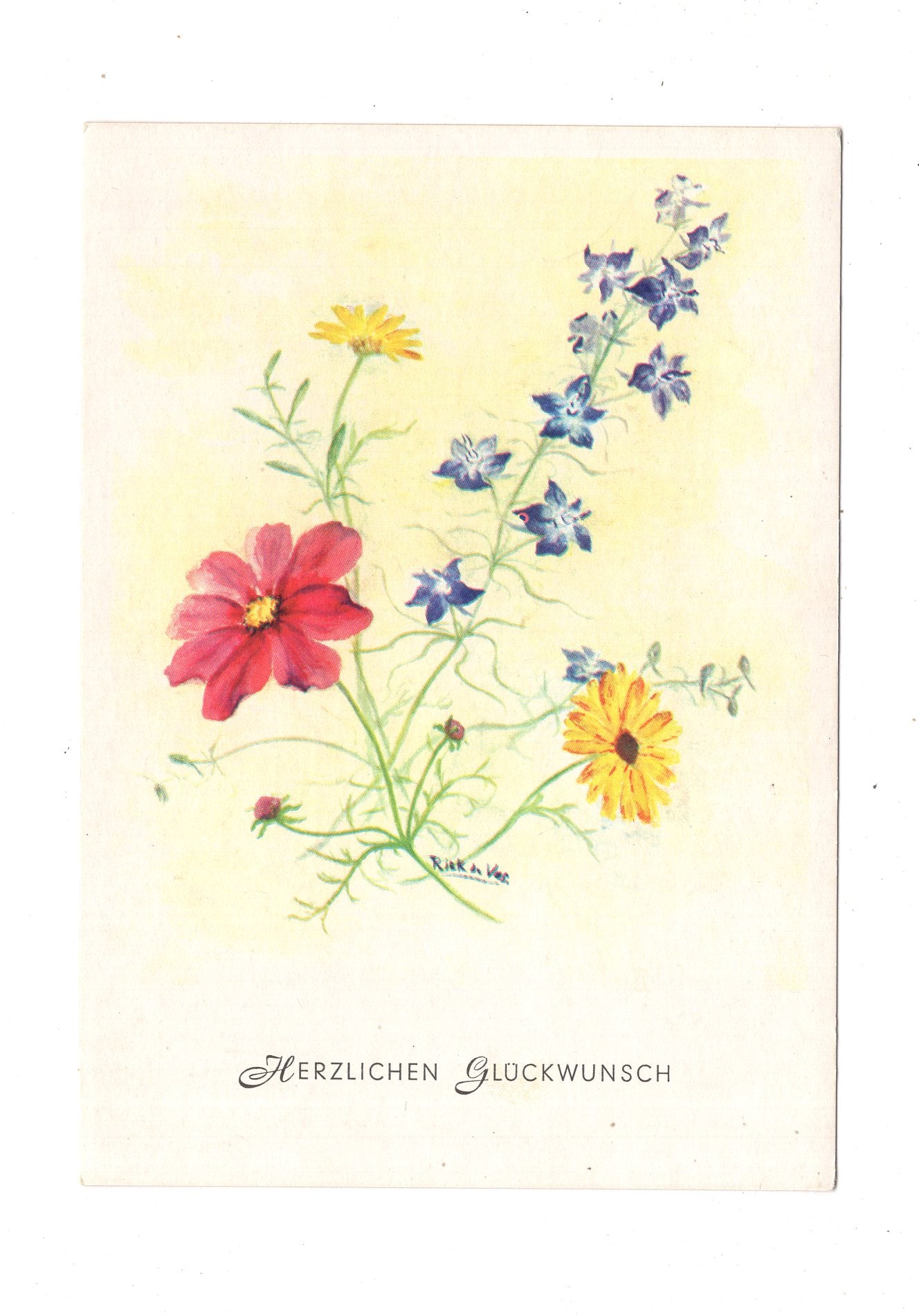 Ansichtskarte Glückwünsche / Glückwunsch zum Geburtstag / L1-61