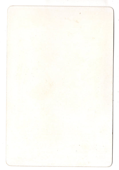 Fotografie / Kunst W. v. Kaulbach - Hunnenschlacht