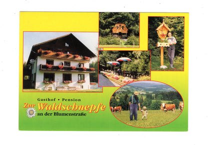 Ansichtskarte Gasthof Pension Zur Waldschnepfe / Wenigzell / Österreich