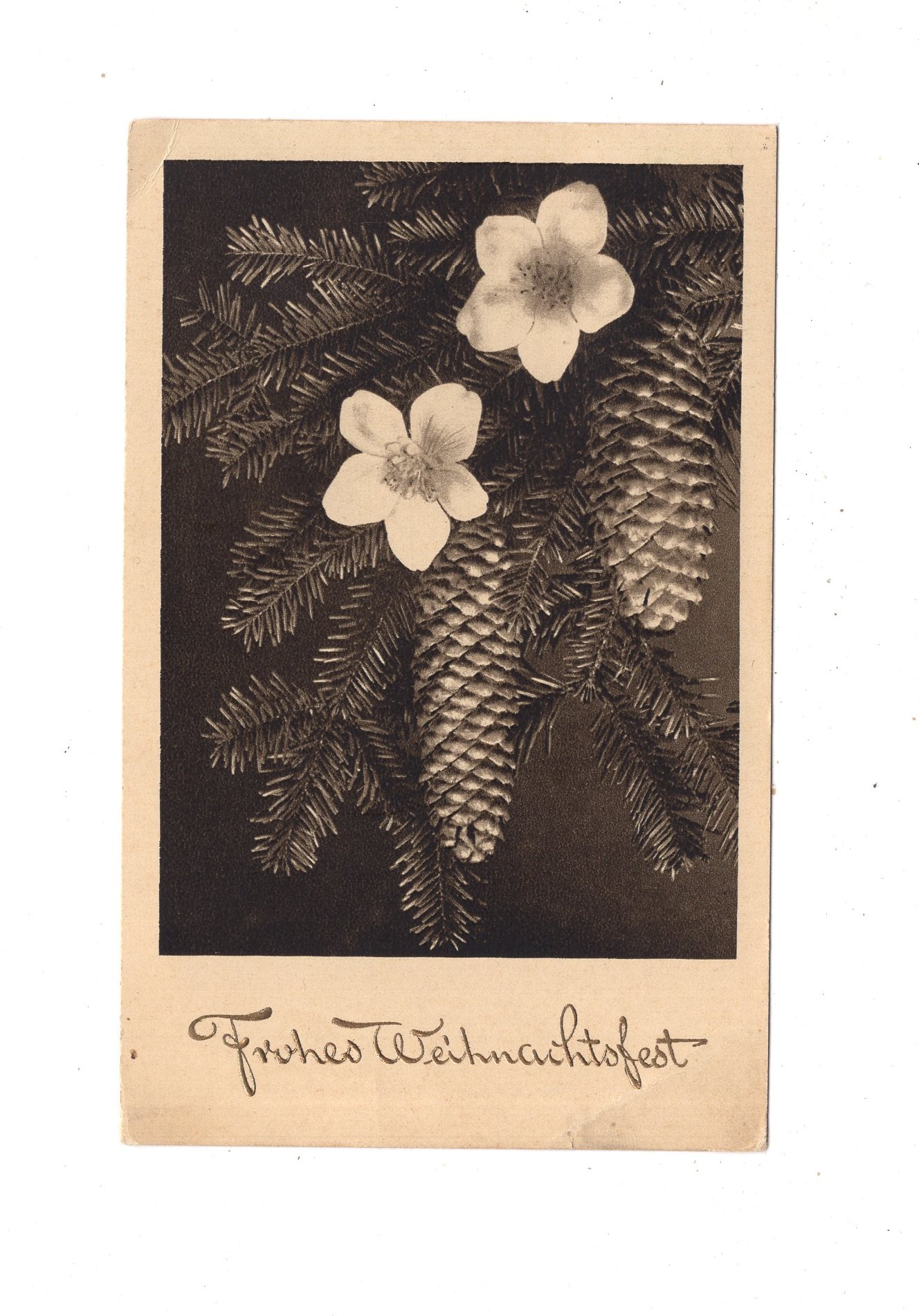 Ansichtskarte Feiertage / Frohe Weihnachten / K1-65