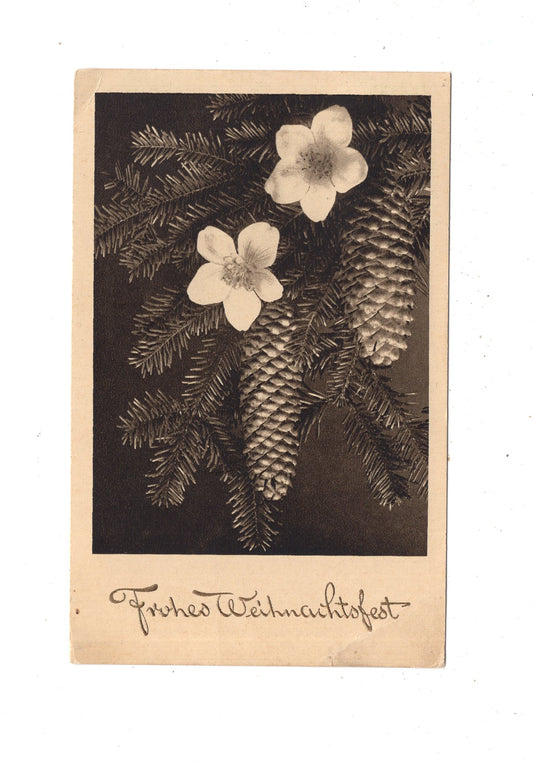 Ansichtskarte Feiertage / Frohe Weihnachten / K1-65