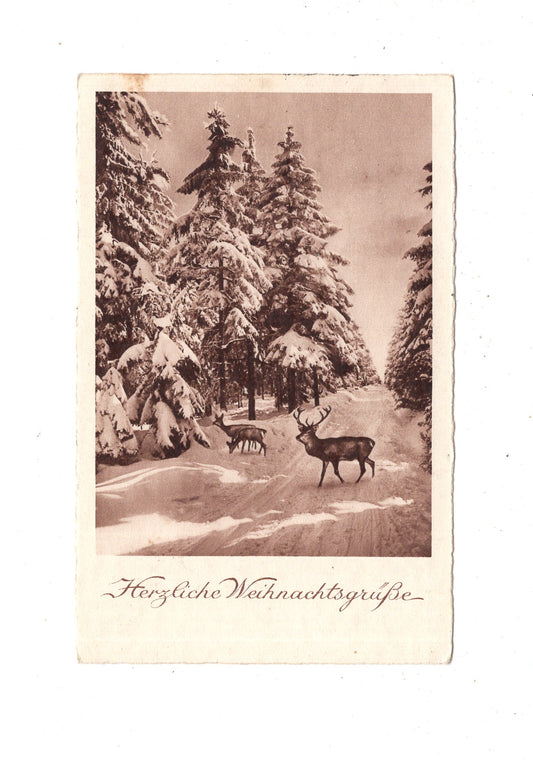 Ansichtskarte Feiertage / Frohe Weihnachten / K1-65